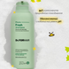 Міцелярний шампунь для жирної шкіри голови Dr.FORHAIR Phyto Fresh Shampoo, 500