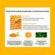 Антиоксидантна маска з экстрактом прополіса Dr.Ceuracle Vita Propolis Antioxidant Mask 30мл, 30ml