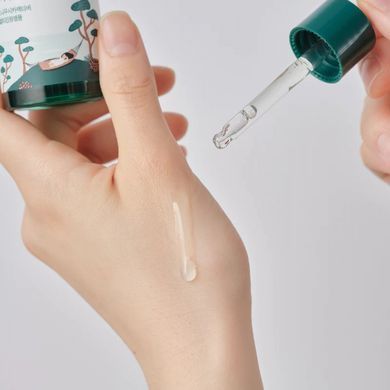 Заспокійлива сироватка з екстрактом голок сосни ROUND LAB Pine Calming Cica Ampoule 30 ml, 30ml
