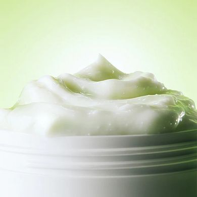 Відновлювальний крем із зеленим чаєм та церамідами By Wishtrend Green Tea & Ceramide Barrier Cream, 50g